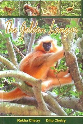 The Golden Langur