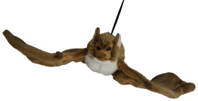 Brown Long-eared Bat Soft Toy