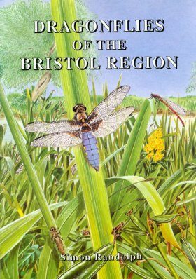 Dragonflies of the Bristol Region