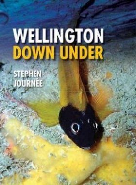 Wellington Down Under