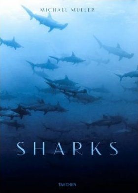 Sharks: Face-To-Face with the Ocean's Endangered Predator