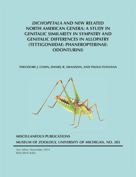 Dichopetala and new Related North American Genera