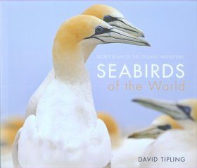 Seabirds of the World