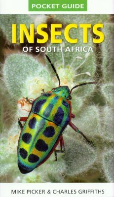 Struik Pocket Guide: Insects of South Africa