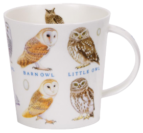 Owls and Eggs Mug