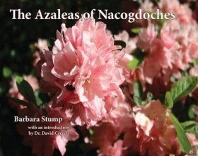 The Azaleas of Nacogdoches