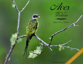 Magical Birds of Bolivia / Aves Mágicas de Bolivia