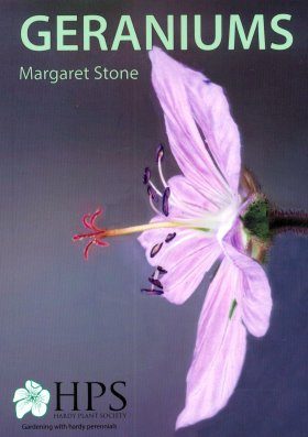 Geraniums