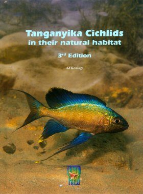 Tanganyika Cichlids in their Natural Habitat