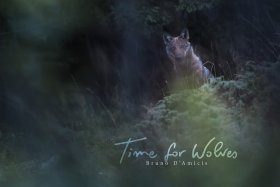 Time for Wolves