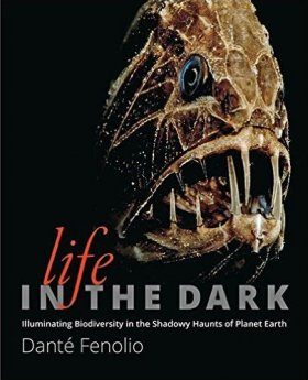 Life in the Dark