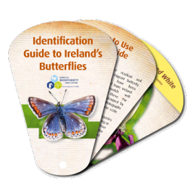 Identification Guide to Ireland's Butterflies