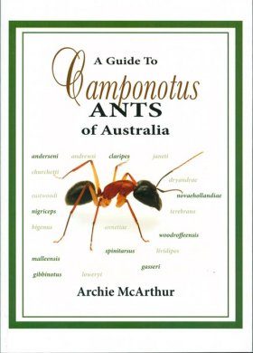 A Guide to Camponotus Ants of Australia