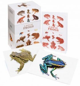 A Box of Frogs