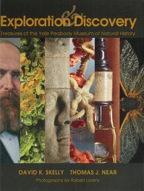 Exploration & Discovery