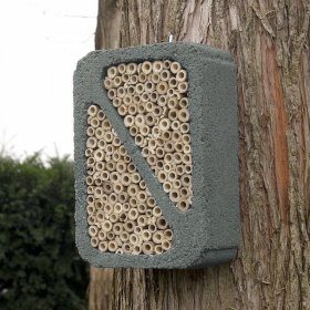 WoodStone Insect Block