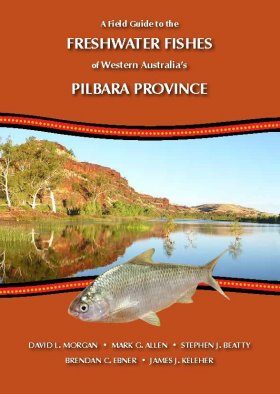 A Field Guide to the Freshwater Fishes of Western Australia’s Pilbara Province