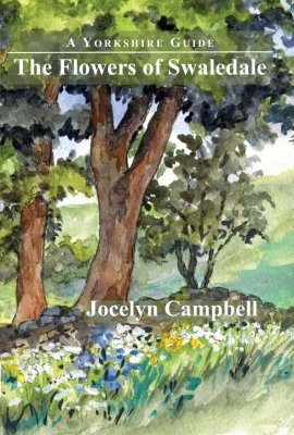 The Flowers of Swaledale