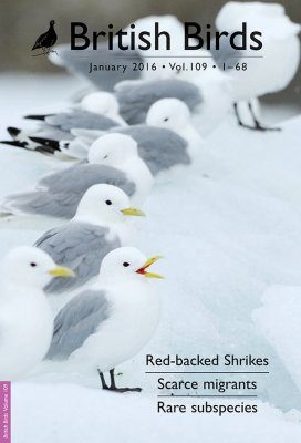 British Birds Report on Scarce Migrant Birds in Britain in 2013