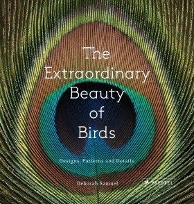 The Extraordinary Beauty of Birds