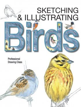 Sketching & Illustrating Birds
