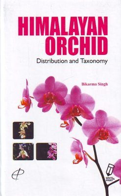 Himalayan Orchids