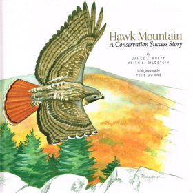 Hawk Mountain