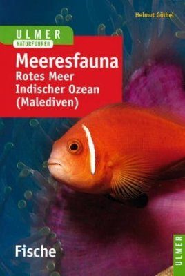 Farbatlas Meeresfauna: Fische