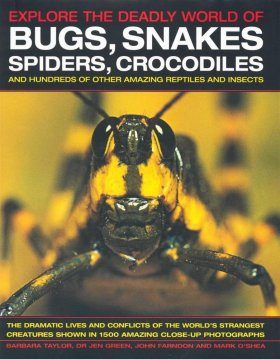 Explore the Deadly World of Bugs, Snakes, Spiders, Crocodiles