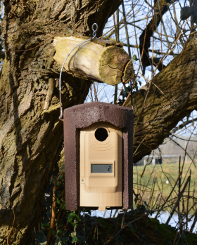 Nestbox Counter for Schwegler 1B Nestbox