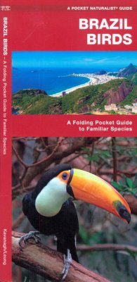 Brazil Birds