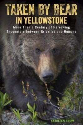 Taken by Bear in Yellowstone