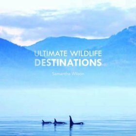 The Ultimate Wildlife Destinations