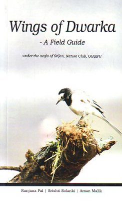 Wings of Dwarka: Birds of GGS Indraprastha University Campus and Surrounding Areas – A Field Guide