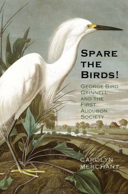 Spare the Birds!