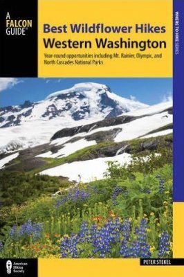 Best Wildflower Hikes Western Washington