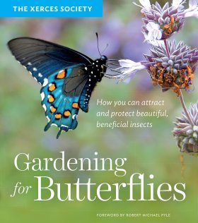 Gardening for Butterflies