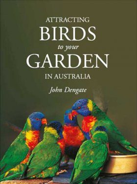Attracting Birds to Your Garden