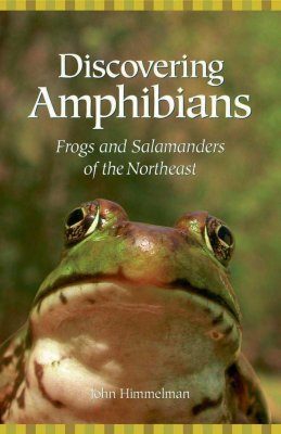 Discovering Amphibians