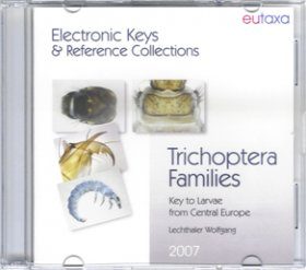 Trichoptera Families