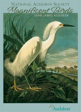 John James Audubon: Magnificent Birds Boxed Notecards