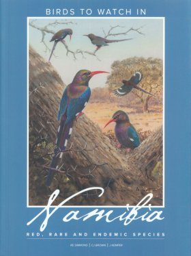 Birds to Watch in Namibia