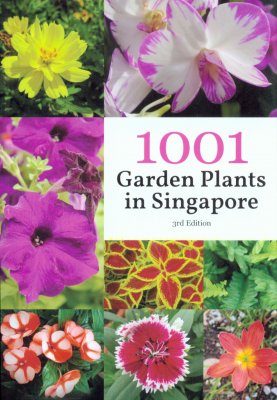 1001 Garden Plants In Singapore