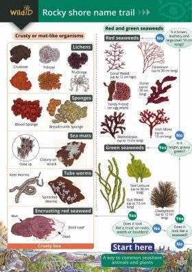 The Rocky Shore Name Trail (Waterproof)