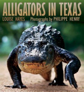 Alligators of Texas