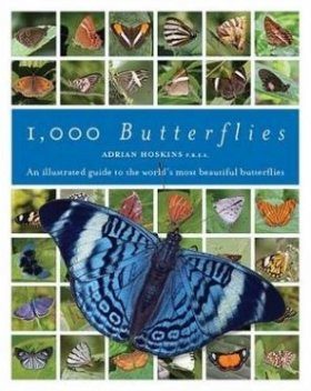 1,000 Butterflies