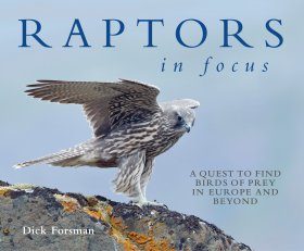 Raptors in Focus