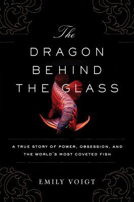 The Dragon Behind the Glass