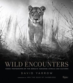 Wild Encounters