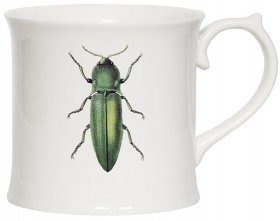 Green Beetle Mug